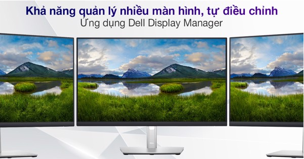 Màn hình LCD Dell 24 inch SE2422H