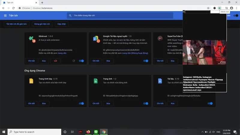  TikTok Extension hiện lên