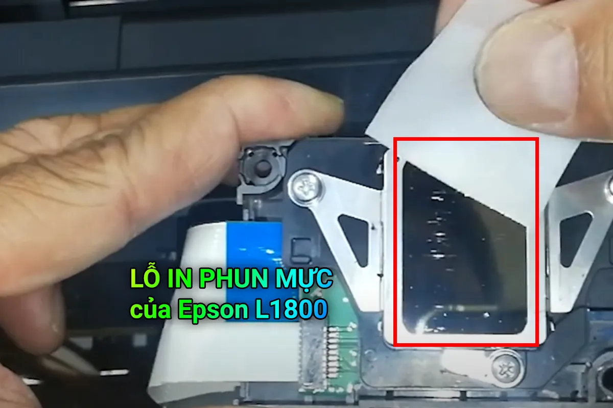 LỖ IN PHUN MỰC  của Epson L1800