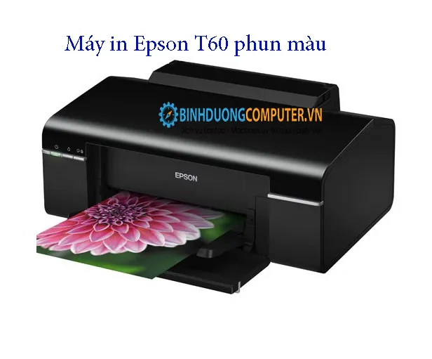 Máy in Epson T60 phun màu