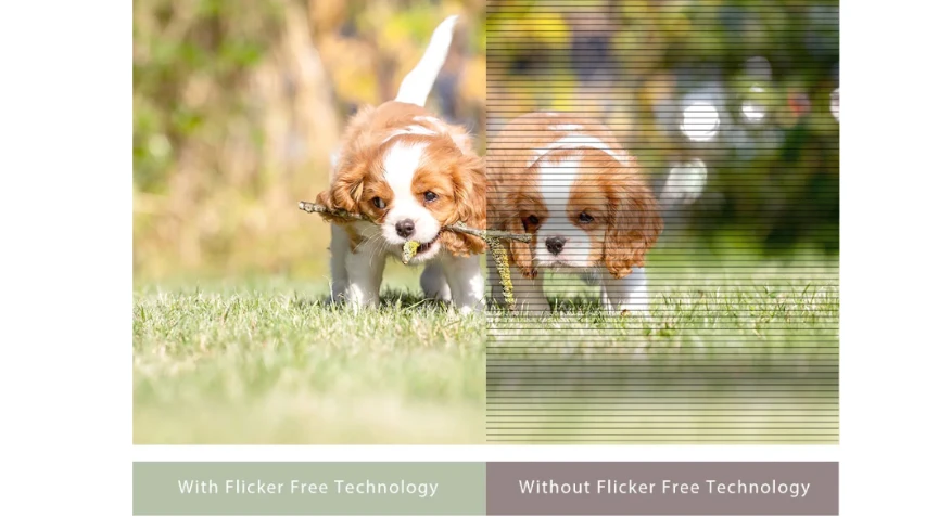 Flicker-Free (Chống Nhấp Nháy)