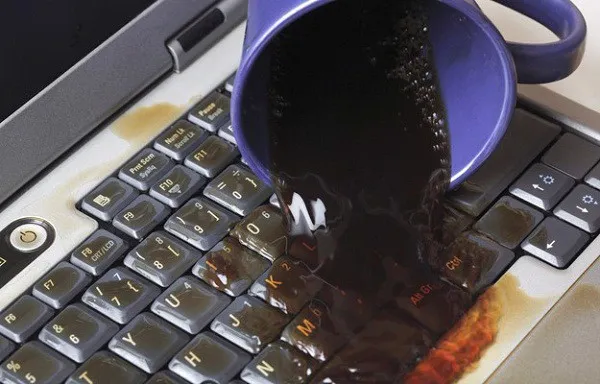 Không để nước và thức ăn trên laptop