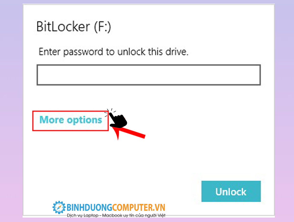 Hướng dẫn lấy dữ liệu bị mã hoá bitlocker