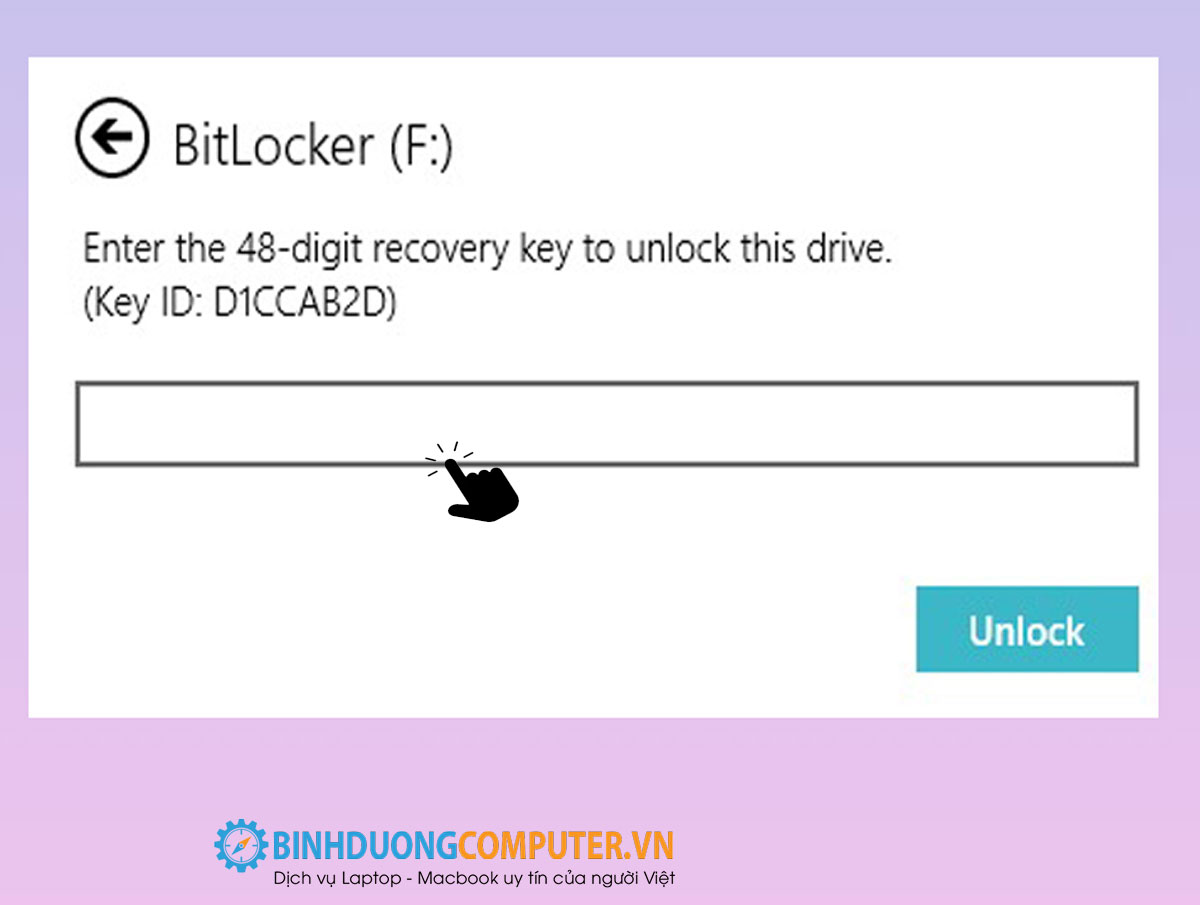 Hướng dẫn lấy dữ liệu bị mã hoá bitlocker