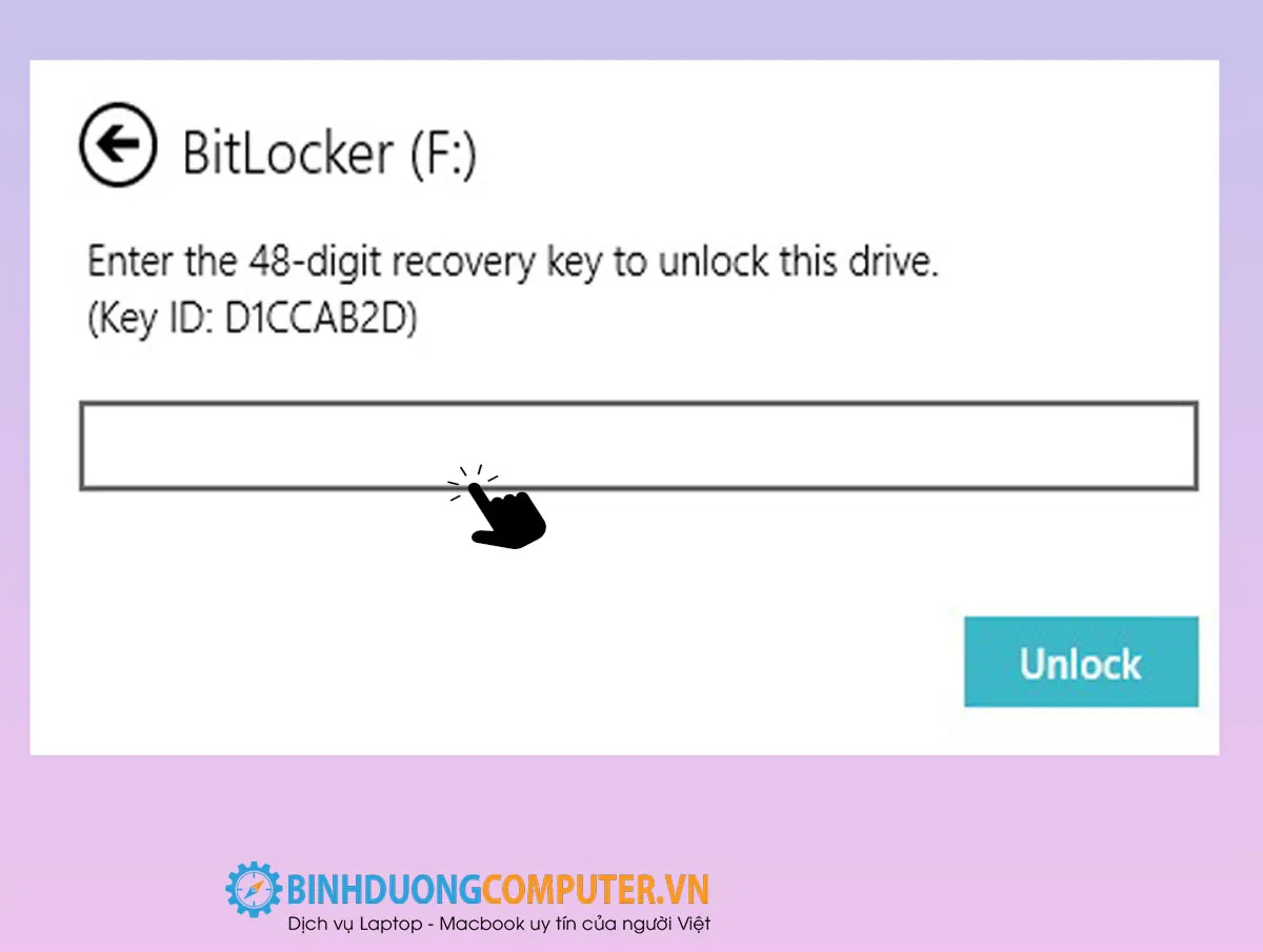 Hướng dẫn lấy dữ liệu bị mã hoá bitlocker