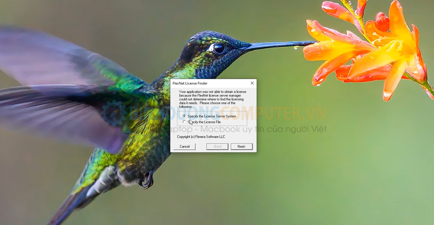 Sửa lỗi FlexNet License Finder dễ dàng 