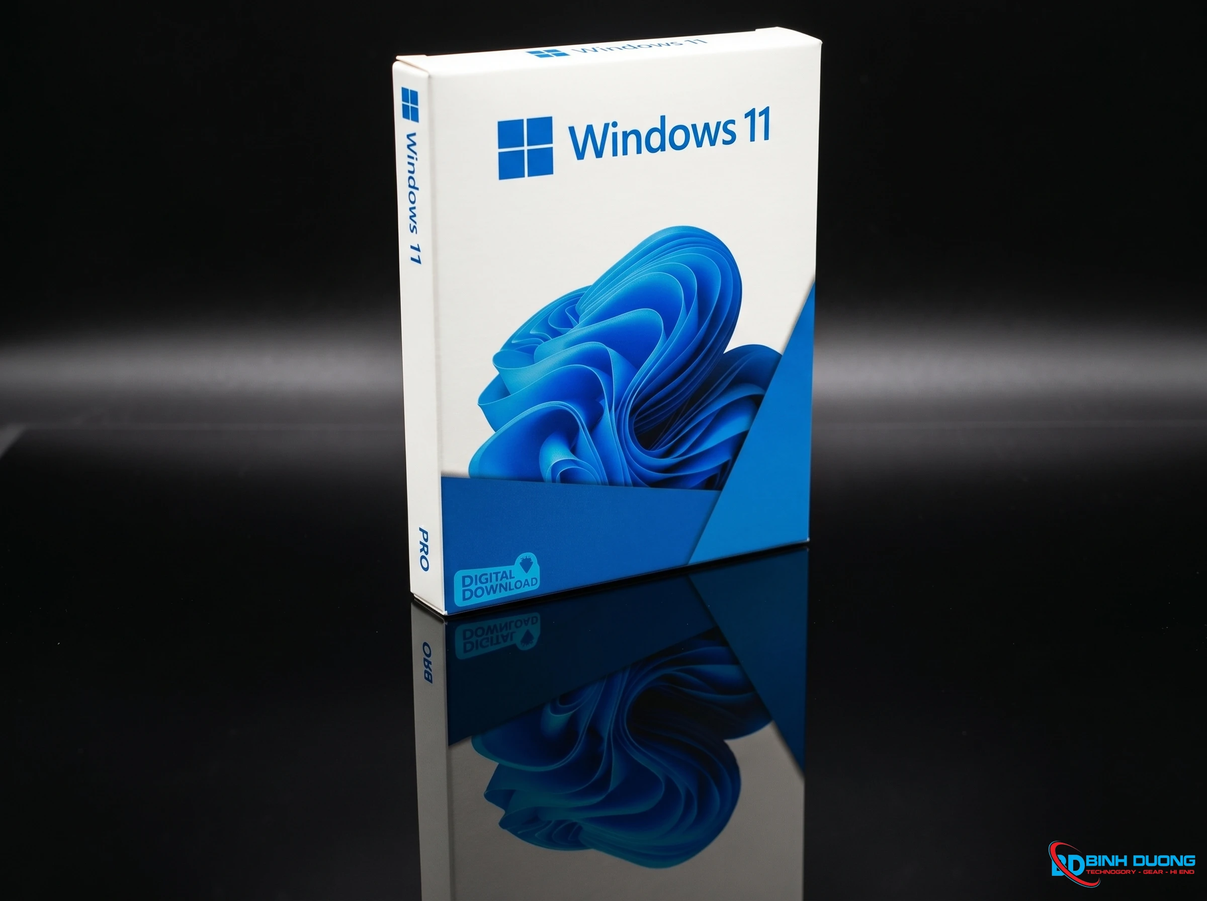 Key Windows 11 Pro Bản Key Cứng - Có Kèm Đĩa - Chi tiết 2