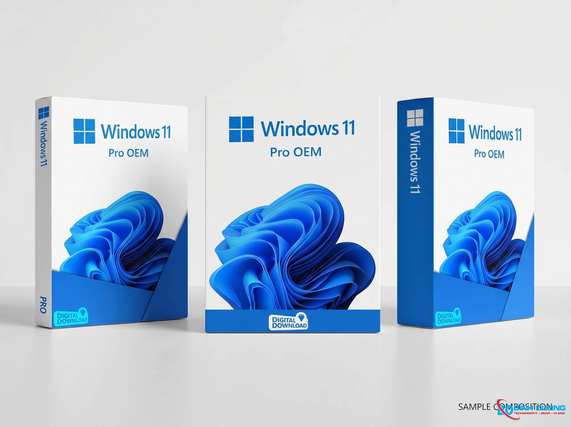 Key Windows 11 Pro Bản Key Cứng - Có Kèm Đĩa - Chi tiết 4