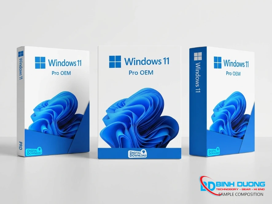 Key Windows 11 Pro Bản Key Cứng - Có Kèm Đĩa - Chi tiết 5